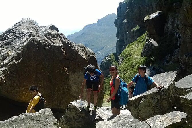 Cape Town: Platteklip Gorge Half-Day Hike on Table Mountain - From pickup to the starting gate: what the first hour feels like