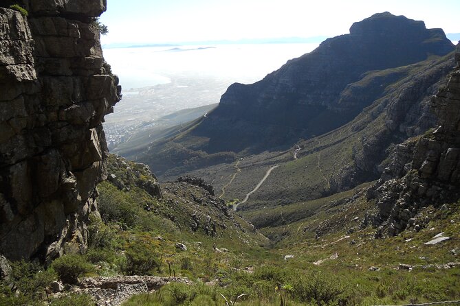 Cape Town: Platteklip Gorge Half-Day Hike on Table Mountain - Price and value: what you pay for at $80.81