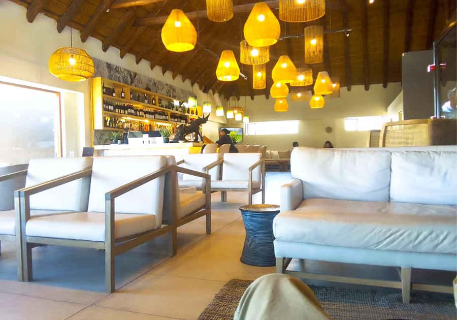 Cape Town: Private Aquila Reserve Safari with Winery Lunch - Who this tour suits best