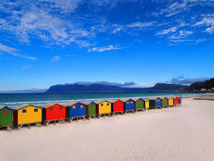 Cape Town: Private Full-Day Cape of Good Hope Tour - Private Mercedes transport, tight timing, and a guide who drives the day