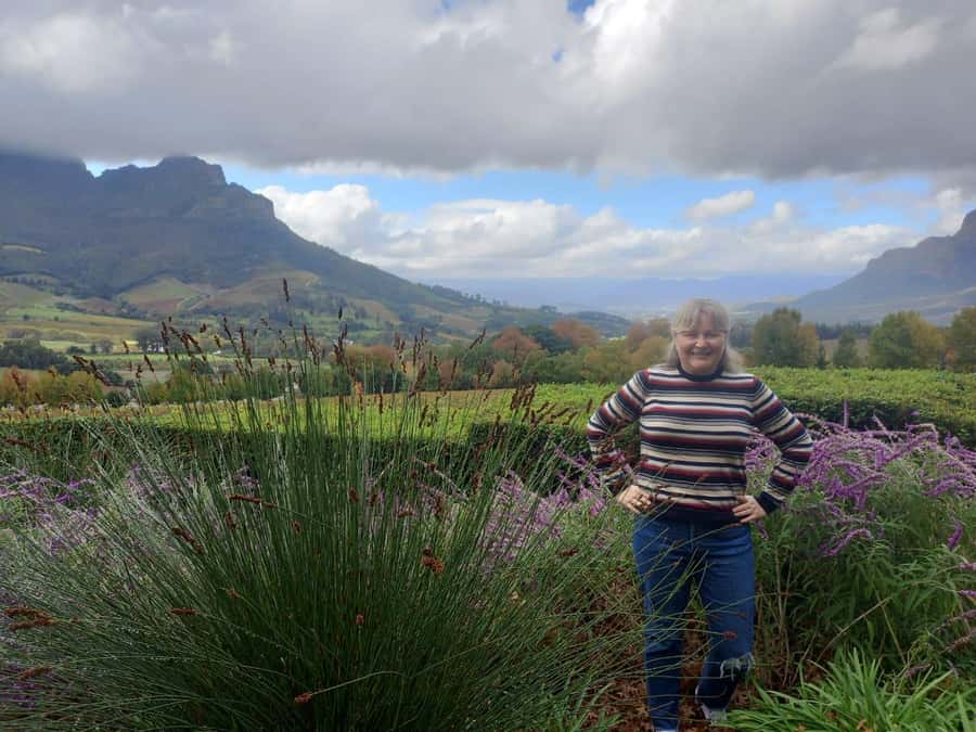 Cape Town: Private Full-Day Cape of Good Hope Tour - Quick Cape Town orientation before the coast takes over