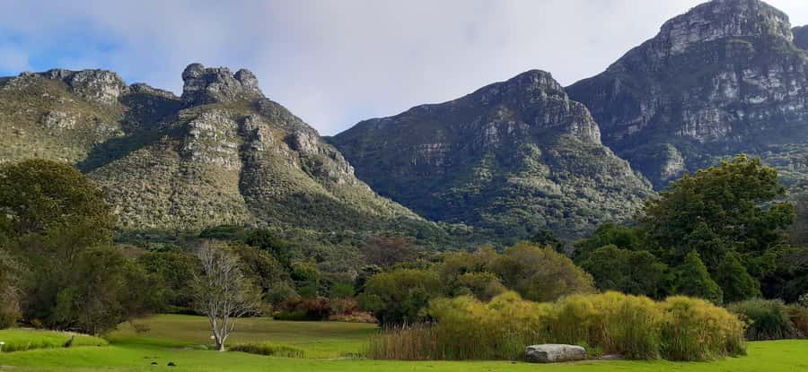 Cape Town: Private Full Day City & Winelands Tour - Constantia Winelands: Wine Tasting With Scenery Included