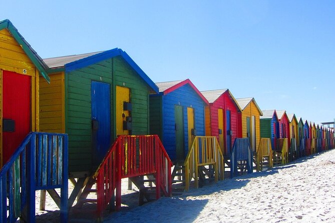 Cape Town Private Group Tour to Cape of Good Hope and Boulders Penguins Colony - Hout Bay port time, then Seal Island if weather allows