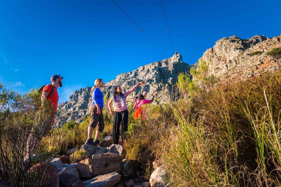 Cape Town Private Guided Table Mountain Hikes - From your accommodation to the trailhead, without the hassle