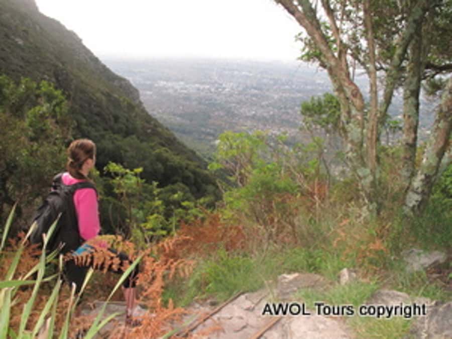 Cape Town Private Guided Table Mountain Hikes - Price and value: is $294 per person worth it?