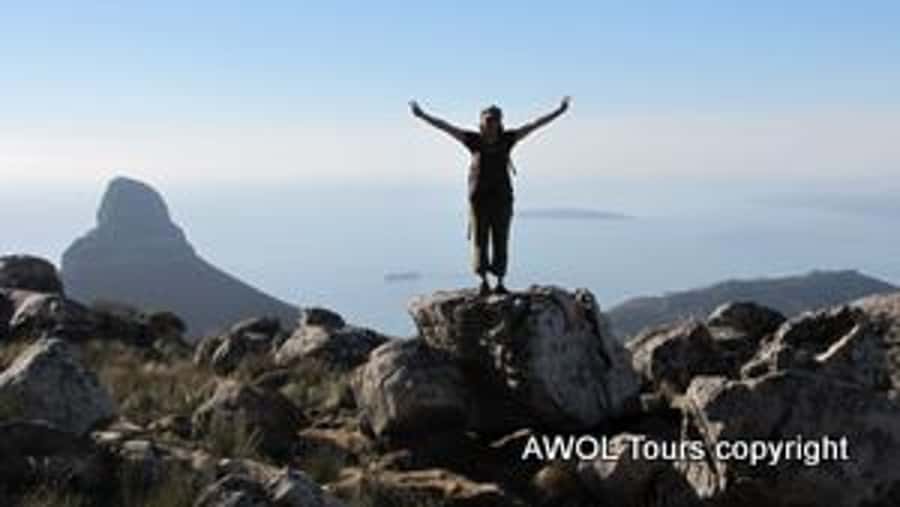 Cape Town Private Guided Table Mountain Hikes - Who this hike fits best, and who should think twice