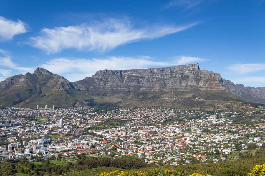 Cape Town: Private Half Day City Tour - Why This 5-Hour Private Tour Works in Cape Town