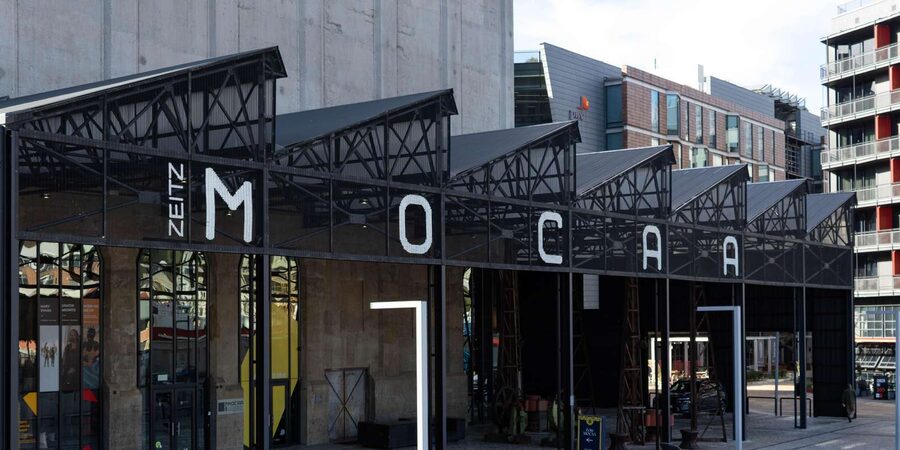 Cape Town: Private Half Day City Tour - Who This Tour Suits Best (and Who Should Rethink It)