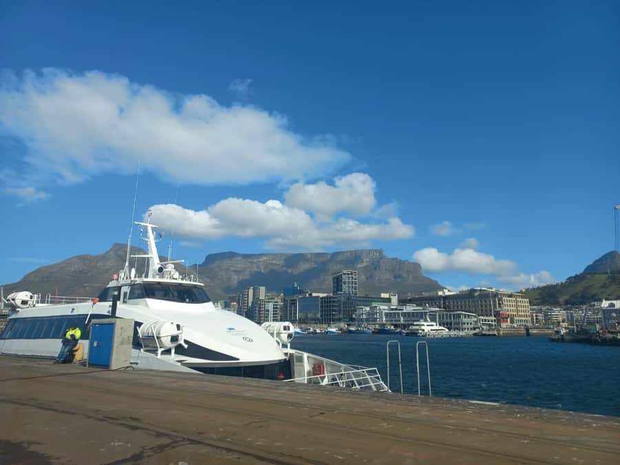 Cape Town: Private Robben Island Half-Day Tour with Pickup - Who Should Book This Tour, and Who Might Reconsider