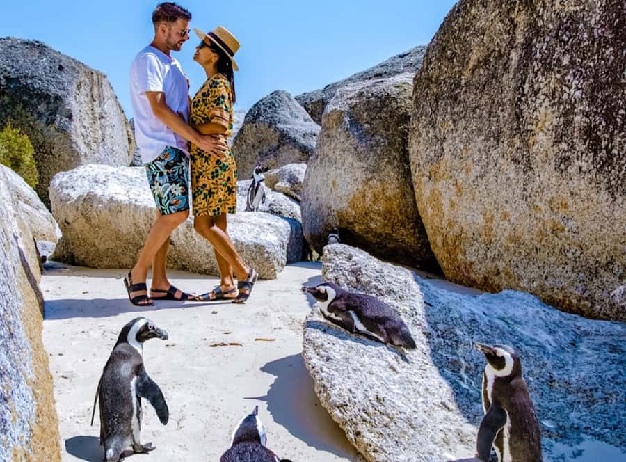 Cape Town Private Tour to Cape Of Good Hope and the Penguins - What I’d Highlight if You Want the Best Mix