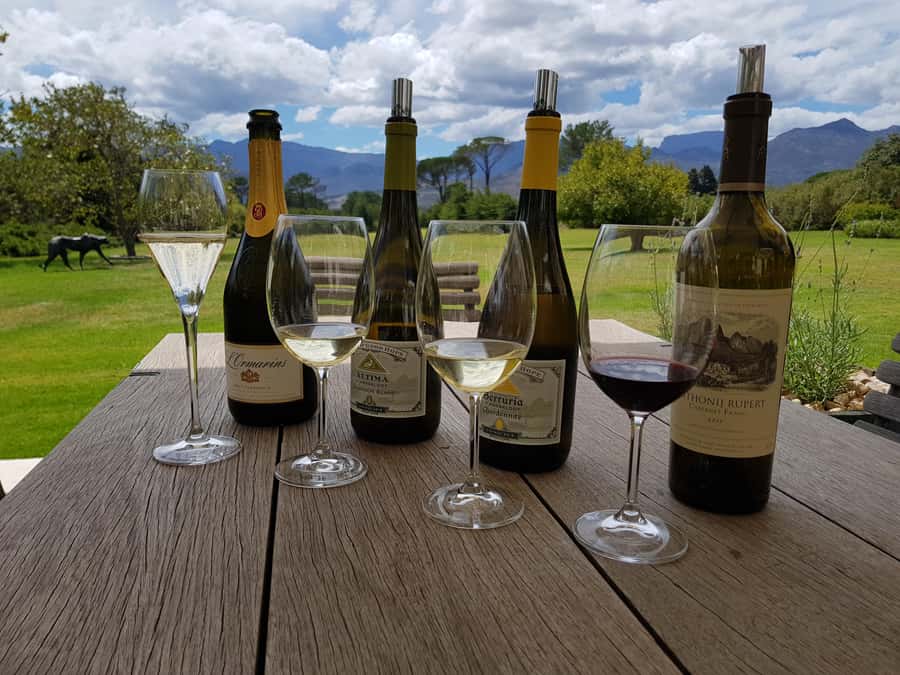 Cape Town: Private Wine Tour - Constantia: the easiest way to taste Cape Town wine country