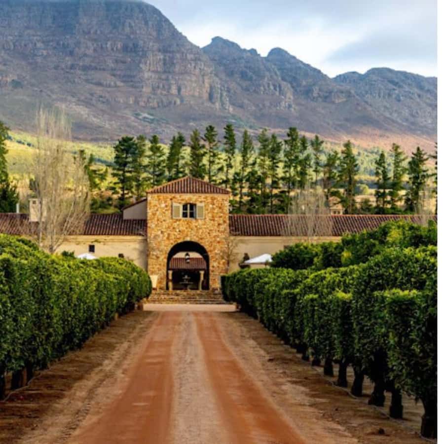 Cape Town: Private Wine Tour with Tastings and Lunch - Where This Cape Winelands Tour Fits (and Why It Works)