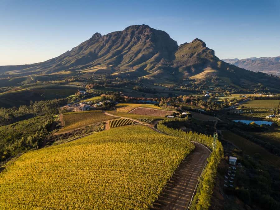 Cape Town: Private Wine Tour with Tastings and Lunch - Grande Provence Wine Estate: Your First Tasting Start (1 Hour)