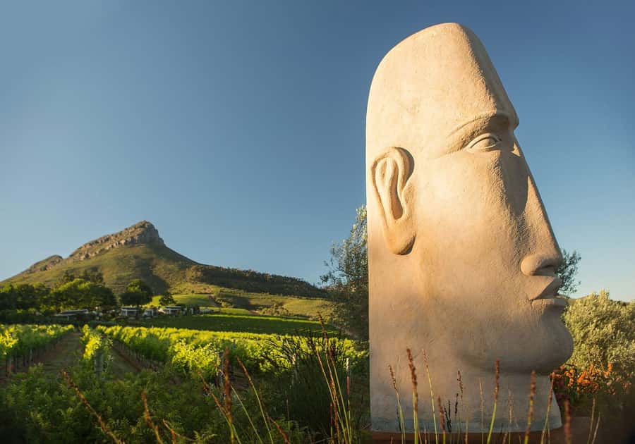 Cape Town: Private Wine Tour with Tastings and Lunch - Waterford Estate Finale: The Third Tasting to Round Out the Day