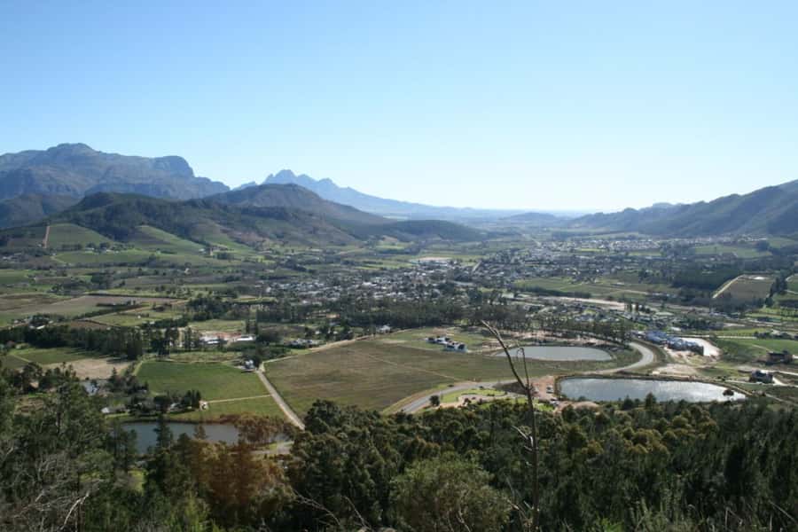 Cape Town: Private Wine Tour with Tastings and Lunch - How Stellenbosch and Franschhoek Are Handled