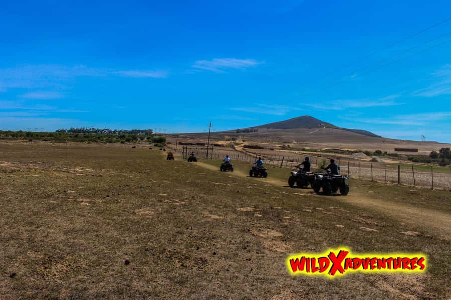 CAPE TOWN: QUAD BIKE FUN RIDE AT OSTRICH RANCH, DURBANVILLE - Where the quad bike fun starts at Cape Town Ostrich Ranch