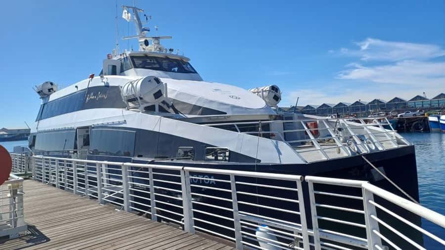Cape Town: Robben Island, Cape of Good Hope and Penguin Tour - The 7:30 AM Pickup, and Why It Matters