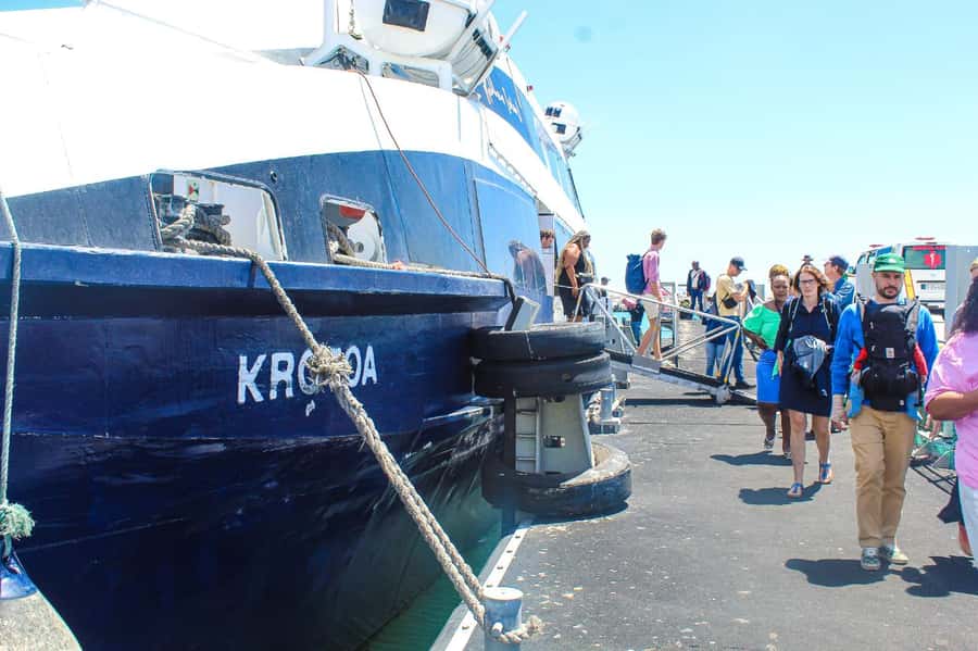 Cape Town: Robben Island ferry ticket plus Guided Tour - The ferry ride to Robben Island: views you actually remember
