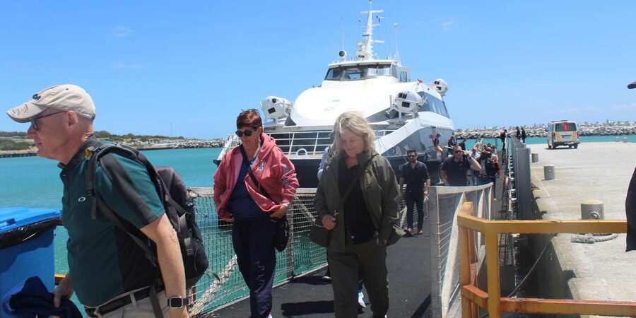 Cape Town: Robben Island ferry ticket with guided tour - After the prison: the ferry back and the Table Mountain bookend
