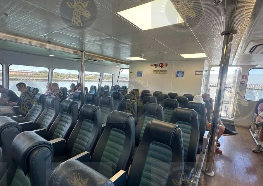 Cape Town: Robben Island Ferry with Prison Ticket and Tour - Key highlights to look for