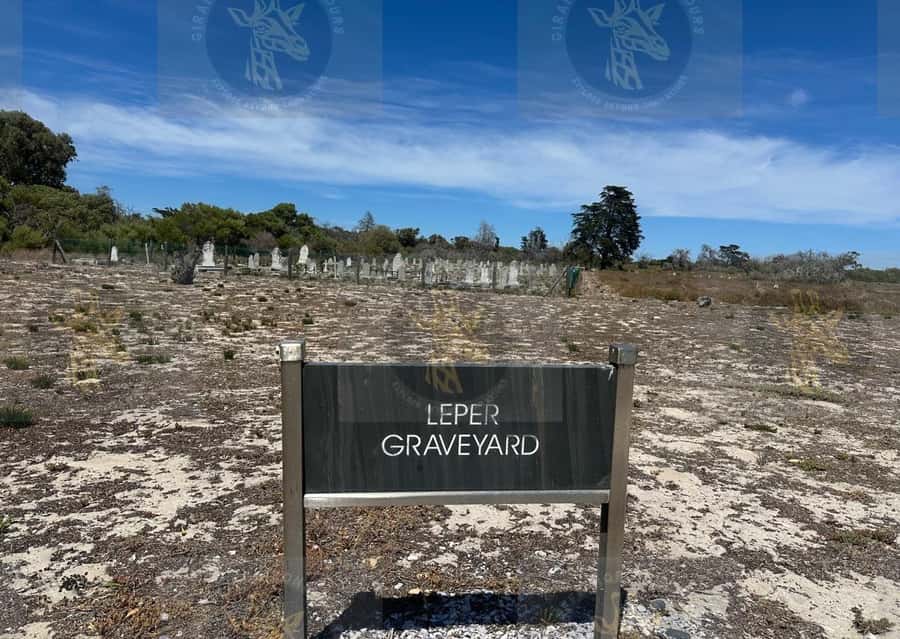 Cape Town: Robben Island Ferry with Prison Ticket and Tour - The island introduction: where the story starts before the prison