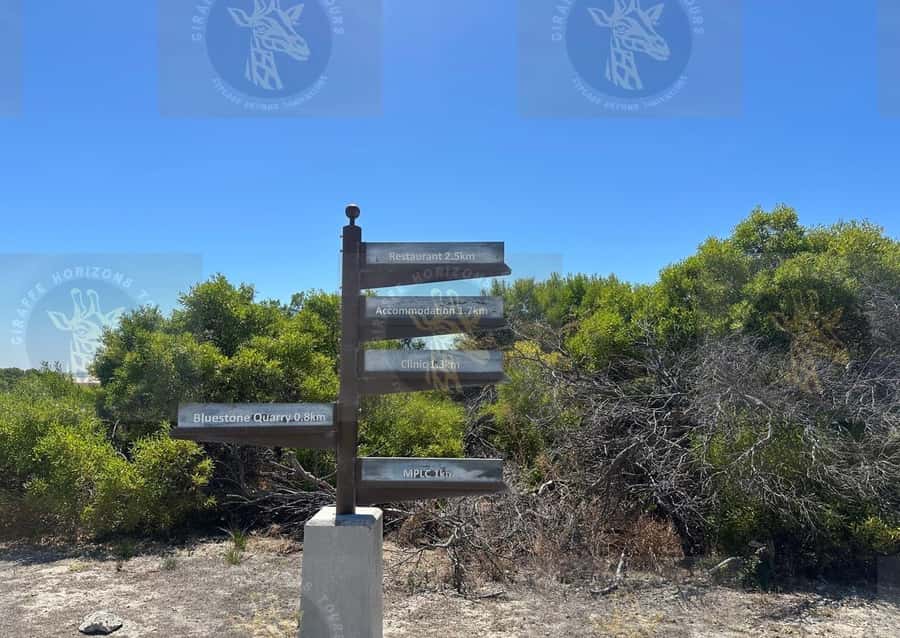 Cape Town: Robben Island Ferry with Prison Ticket and Tour - Photo time, views, and why the timing matters