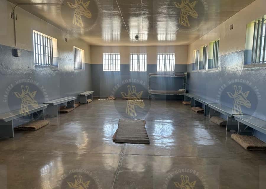 Cape Town: Robben Island Ferry with Prison Ticket and Tour - Price and value: is $90 a fair deal
