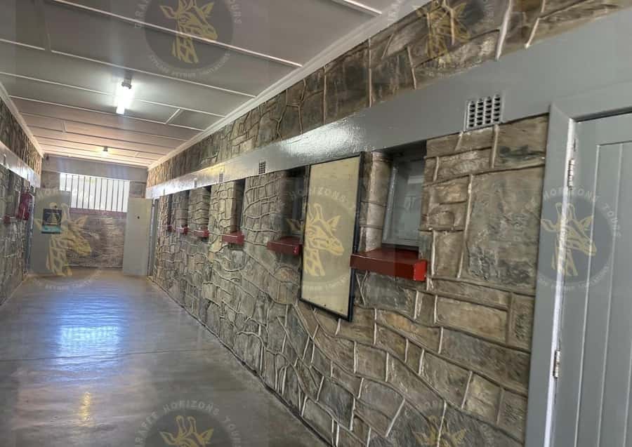 Cape Town: Robben Island Ferry with Prison Ticket and Tour - Priority boats, real ticketing, and what to do with your details