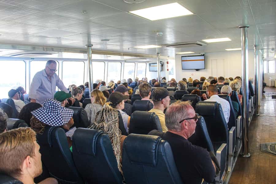 Cape Town:Robben Island Guided Tour, Skip the Ticketing Line - The Ferry Ride: Views You’ll Feel, Not Just See