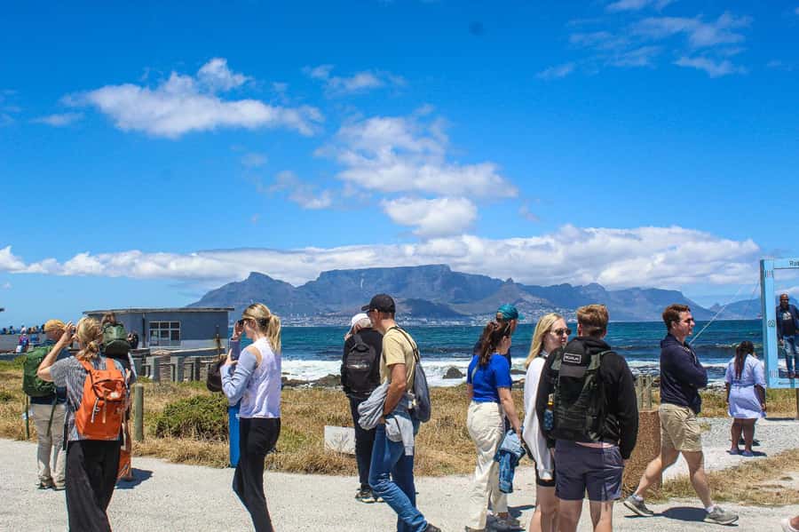 Cape Town:Robben Island Guided Tour, Skip the Ticketing Line - Price and Value at Around $73: What You Get for the Money