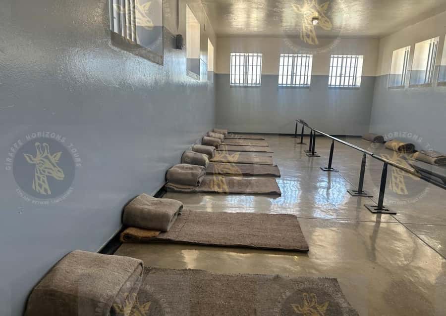 Cape Town: Robben Island Half-Day Tour w/ Pre-Booked Ticket - What you’ll do during the 4 hours, and where time can feel tight