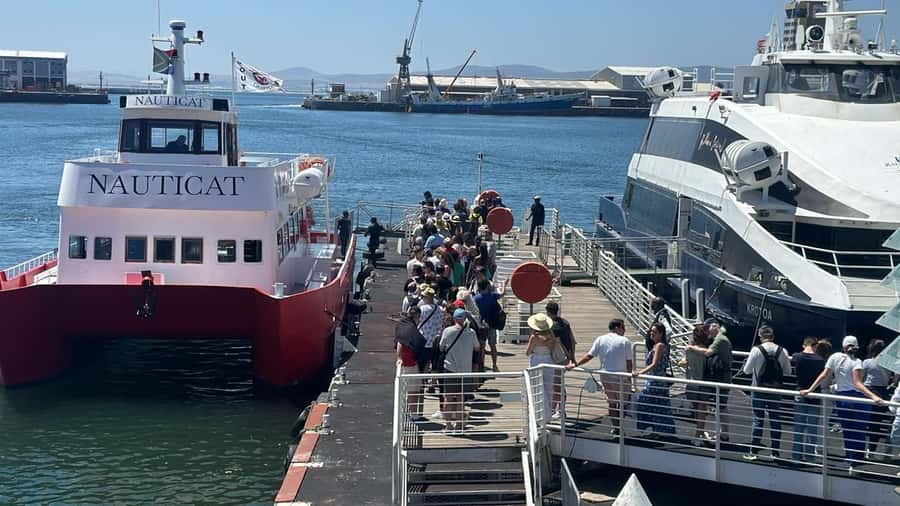 Cape Town: Robben Island Half-Day Tour with Entry Tickets - Who This Tour Suits Best (and Who Might Want Alternatives)
