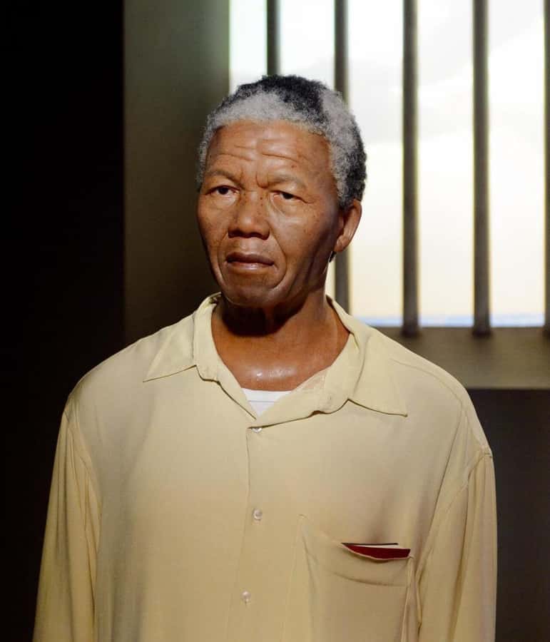 Cape Town: Robben Island Half-Day Tour with Entry Tickets - Should You Book This Robben Island Half-Day Tour?