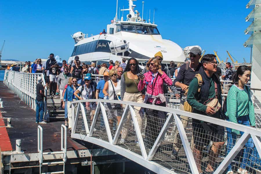 Cape Town: Robben Island plus Table Mountain Tickets - Robben Island Museum tour: sites you will actually see
