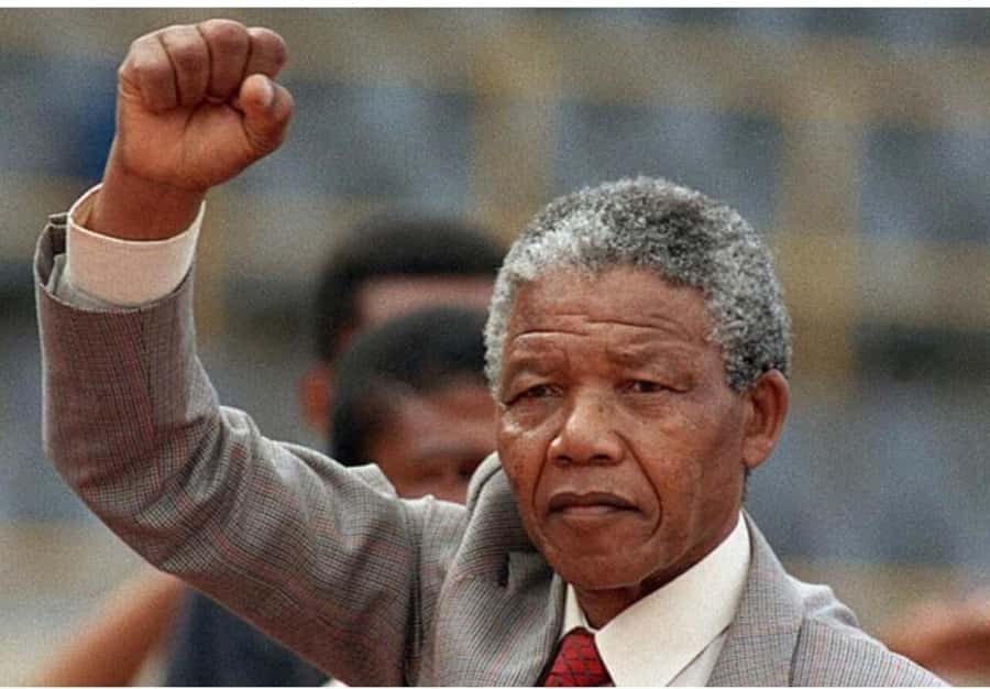 Cape Town: Robben Island Tour Tickets and V&A Waterfront - Key highlights you will actually care about