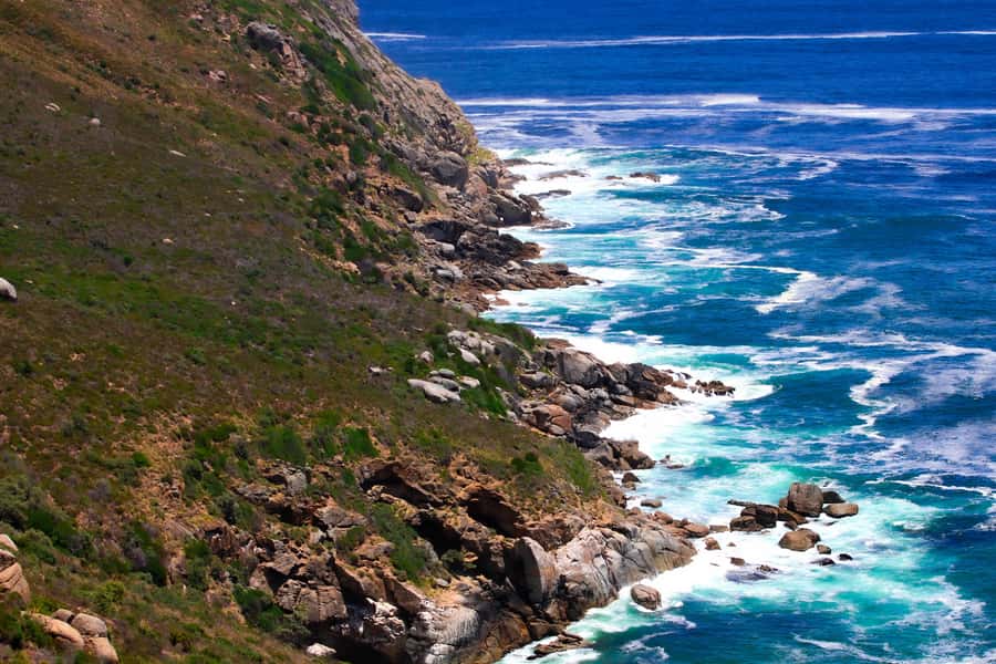 Cape Town's Best: Cape Point & Boulders Beach Group Tour - Chapman’s Peak Drive: the included scenic power move