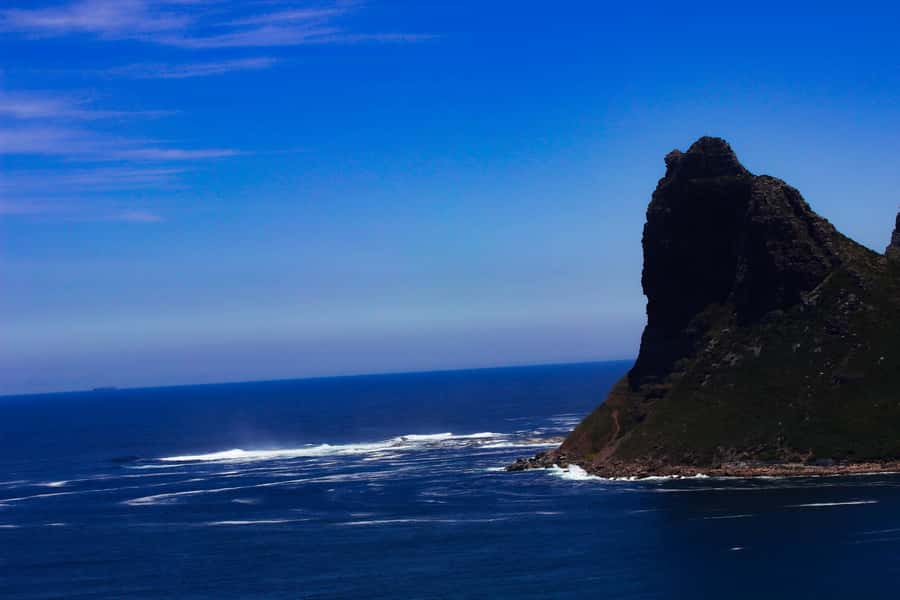 Cape Town's Best: Cape Point & Boulders Beach Group Tour - Price and value: what $44 covers and what adds up