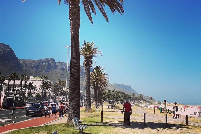 Cape Town's Finest City Bike Tour - Company’s Gardens tea and cake, plus a calmer pause