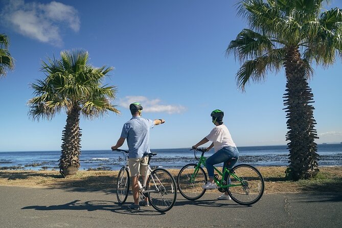 Cape Town's Finest City Bike Tour - Bikes, helmets, snacks, and the pace that keeps it fun