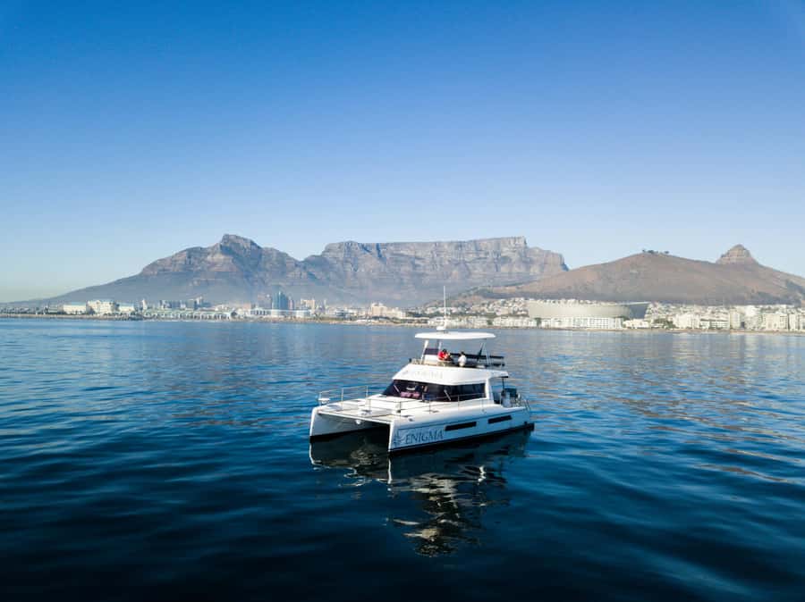 Cape Town: Scenic 1-Hour Coastal Catamaran Cruise - Marine life spotting: what you should realistically watch for
