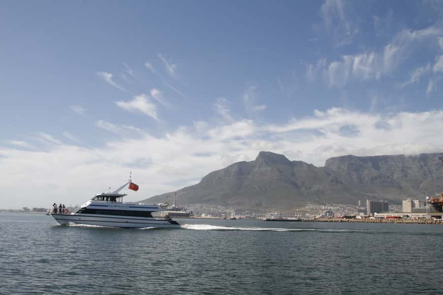 Cape Town: Scenic 1-Hour Coastal Catamaran Cruise - What to bring, what not to bring, and how to dress for this one hour