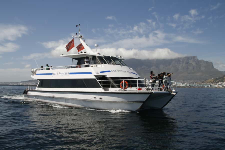 Cape Town: Scenic 1-Hour Coastal Catamaran Cruise - From V&A Waterfront to Green Point Lighthouse: the route in plain English