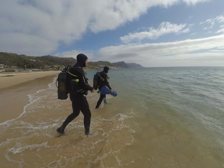 Cape Town: Scuba Diving Experience for Beginners - Key highlights worth knowing