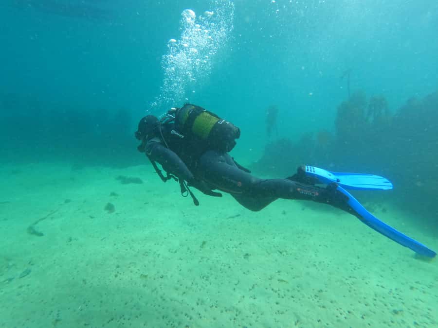 Cape Town: Scuba Diving Experience for Beginners - Who should book this beginner scuba session