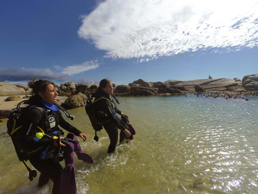 Cape Town: Scuba Diving Experience for Beginners - How long you are in the water, and why that timing helps