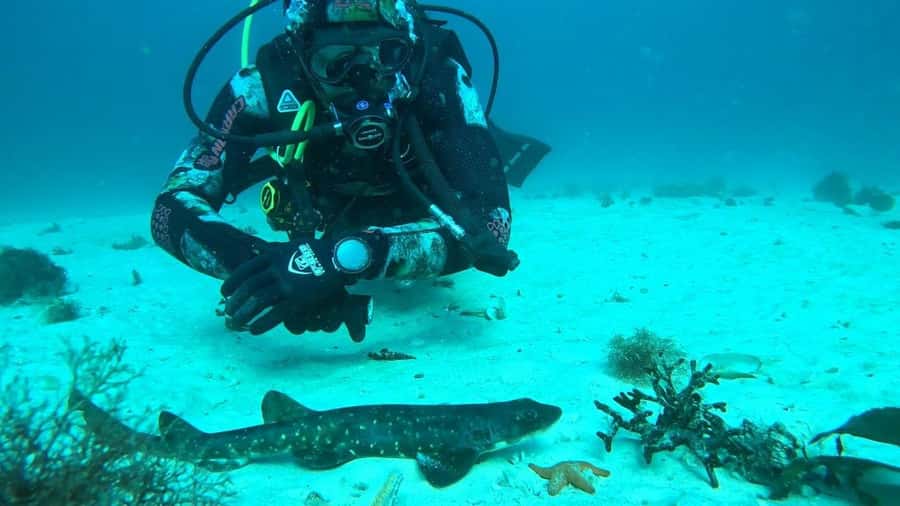 Cape Town: Scuba Diving Experience for Beginners - Price and value: what $112 includes, and what you should plan for
