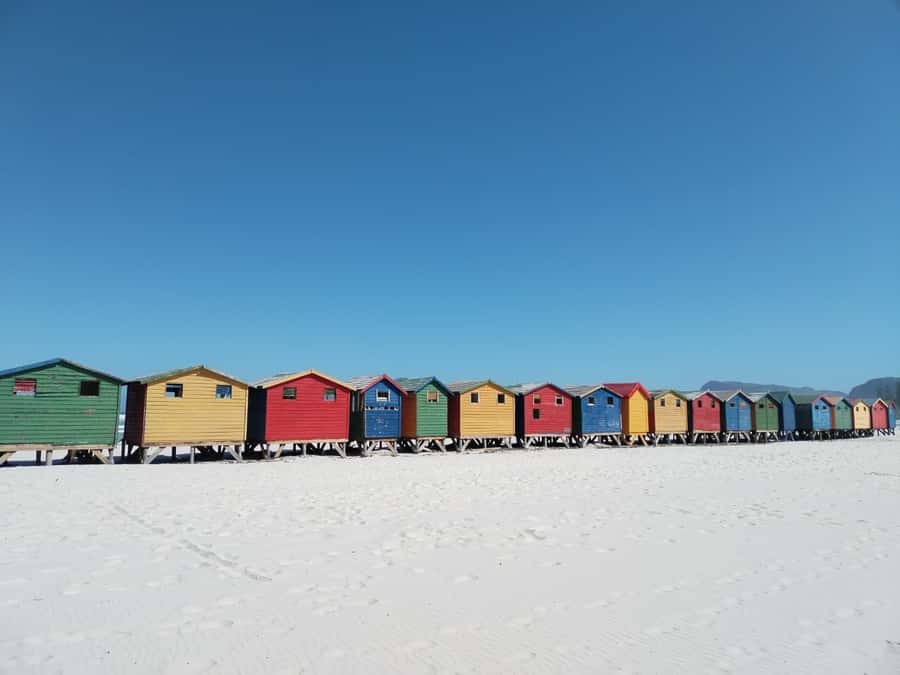 Cape Town: Seal Island, Cape of Good Hope& Penguins Private - Who should book this private day?
