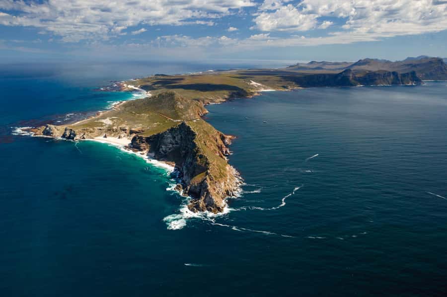 Cape Town: Shark Cage Dive - Weather and tide planning, explained like you’re packing a bag