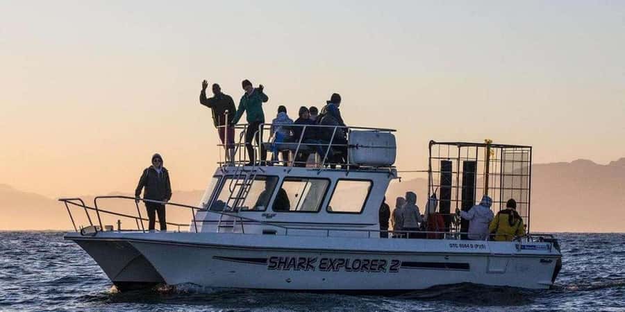 Cape Town: Shark Cage Diving Tour (with Breakfast & Lunch) - What I like most, and what to watch before you go