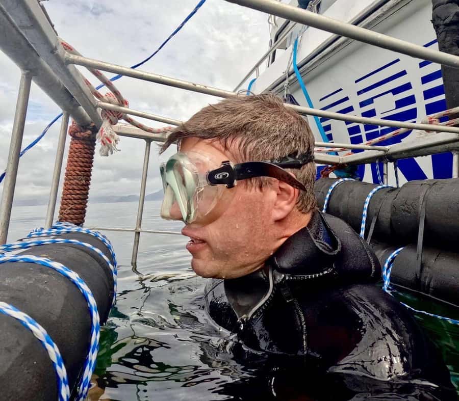 Cape Town: Shark Cage Diving with Snacks and Soft Drinks - Key points to know before you go